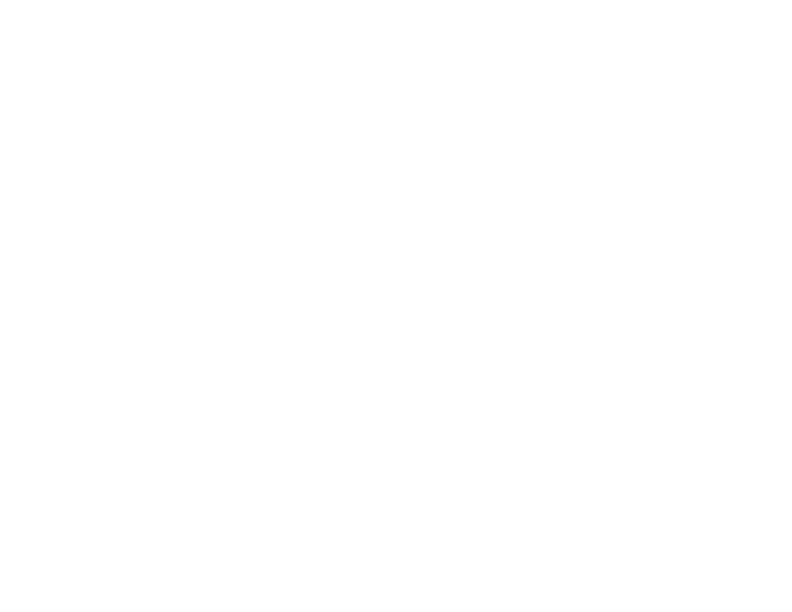 cdtLogoFooter